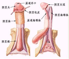 概述