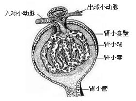 概述