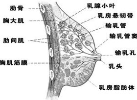 症状描述