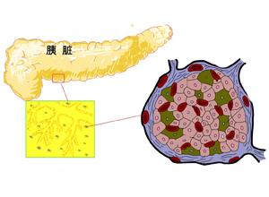 概述