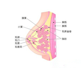 概述