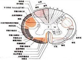 症状描述