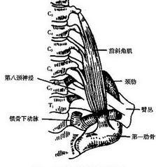 概述