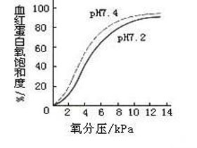 概述