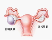 症状起因