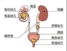 症状描述