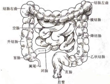 症状描述