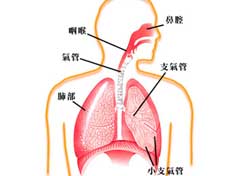 呼吸内科疾病