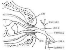 简介