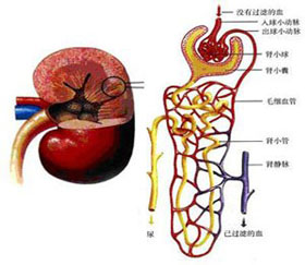 症状描述