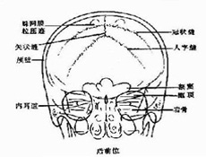 颅脑脊髓感染