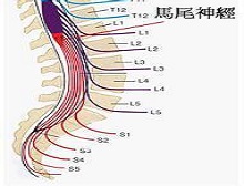 症状起因