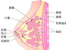 症状诊断/鉴别