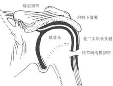 预防