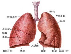 疾病防治