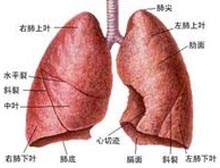 症状诊断/鉴别