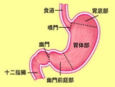 饮食禁忌