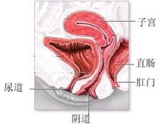 阴道炎为什么会反复复发