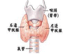 检查