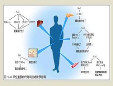 发病原因