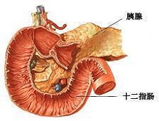 临床表现