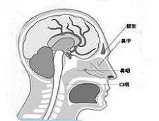 病理生理