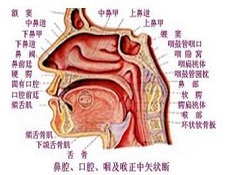 诊断鉴别