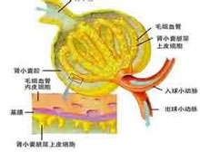 症状描述