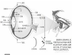 康复保健