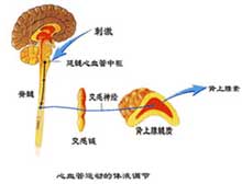 症状描述