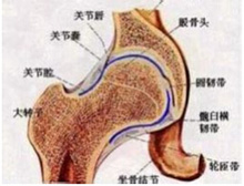 症状描述