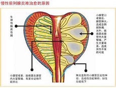 疾病危害