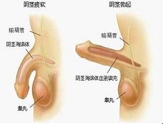 临床表现