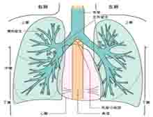 症状起因