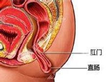 症状诊断/鉴别