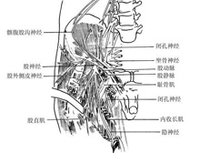 症状描述