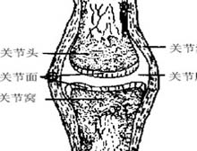 症状描述