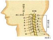 症状起因