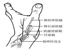 症状描述