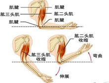 症状起因