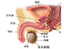 症状描述