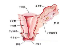 症状诊断/鉴别