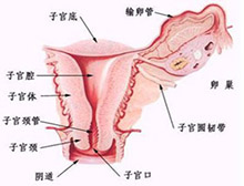 症状起因