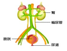 症状起因