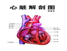 症状诊断/鉴别