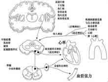 症状描述