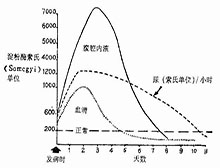 症状描述