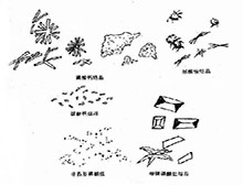症状诊断/鉴别
