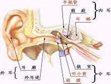 症状起因