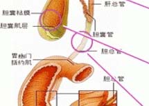 疾病简介